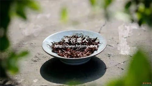 宜興人用什么茶葉養(yǎng)紫砂壺