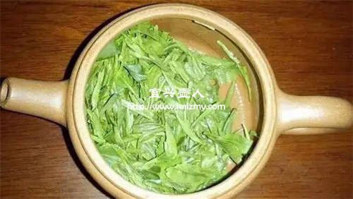 紫砂壺泡綠茶要注意什么？