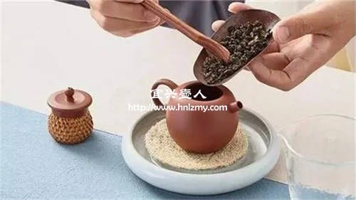 烏龍茶用什么紫砂壺泡好