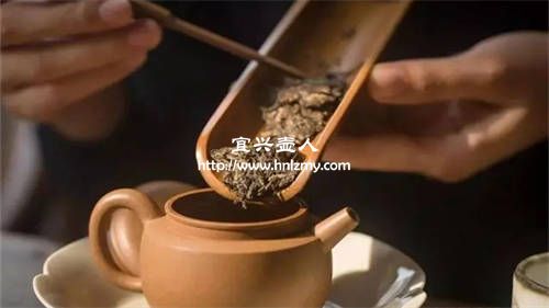 400cc紫砂壺泡什么茶好