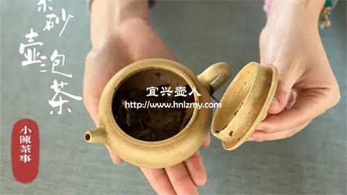 紫砂壺幾十塊錢的對人有害嗎