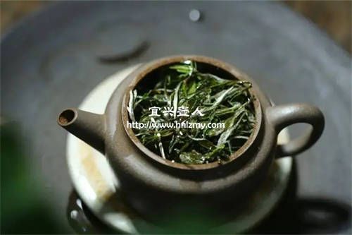 綠茶可以放在紫砂壺中沖泡嗎