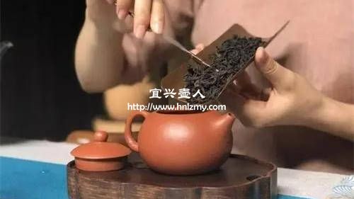 小紫砂壺投茶方法