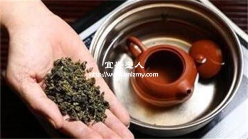 紫砂壺如何開壺用什么茶葉