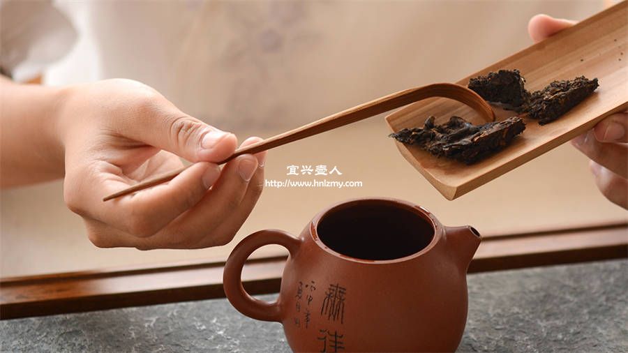 紫砂壺泡普洱茶