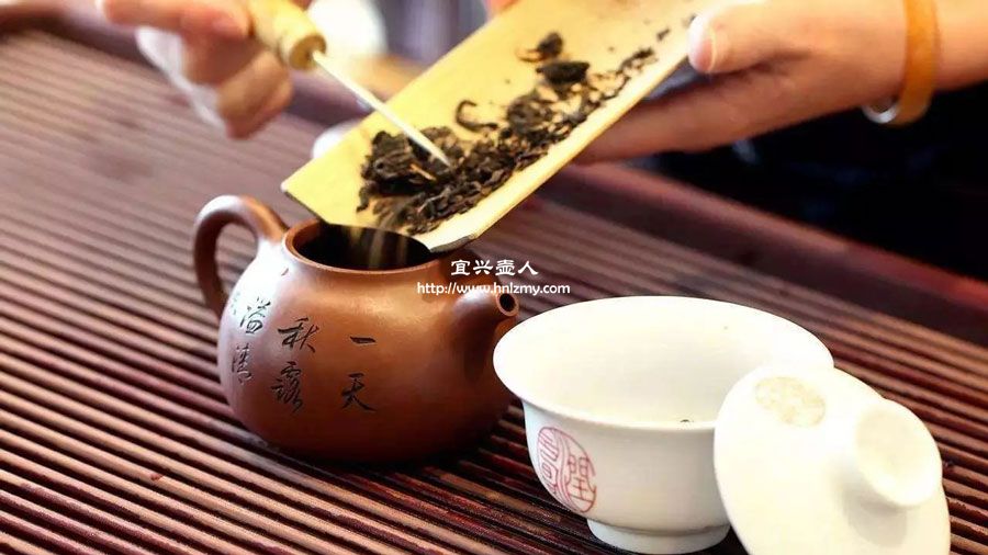 烏龍茶適合用什么紫砂壺沖泡