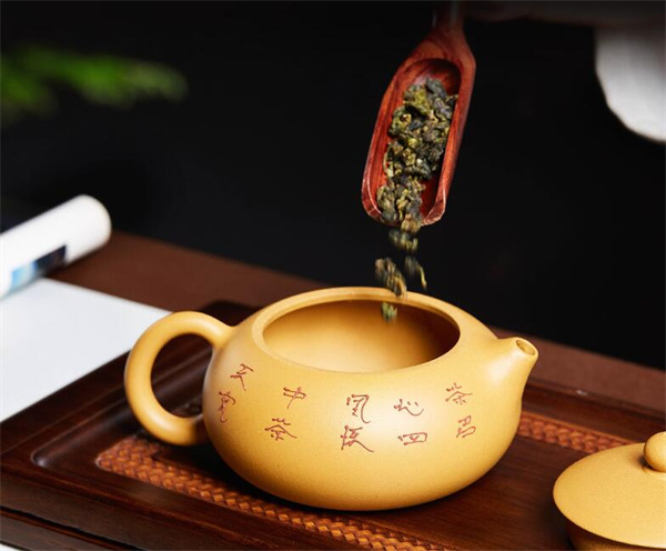 白茶適合用什么泥料的紫砂壺
