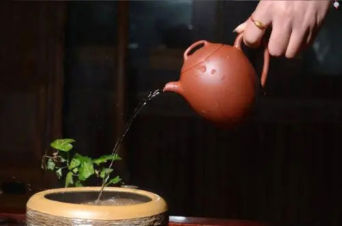 紫砂壺泡茶出湯時(shí)間要多久